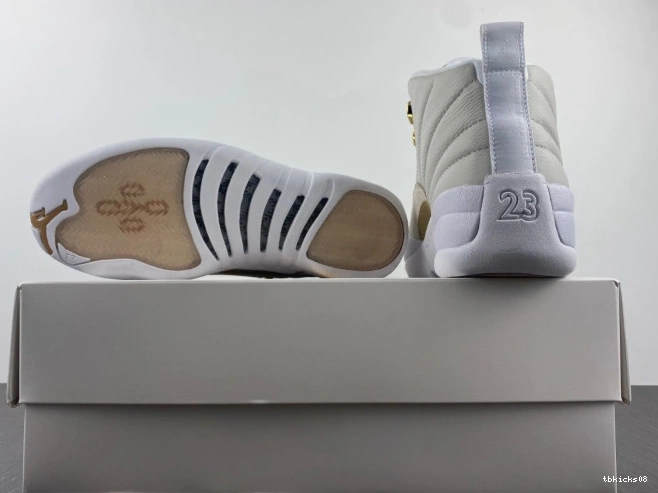 Rep TBkick Jordan White 873864-102 Retro OVO 12 0717
